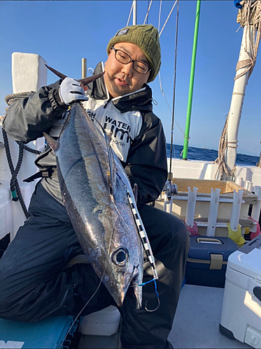 ビンチョウマグロの釣果