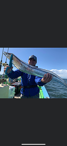 タチウオの釣果