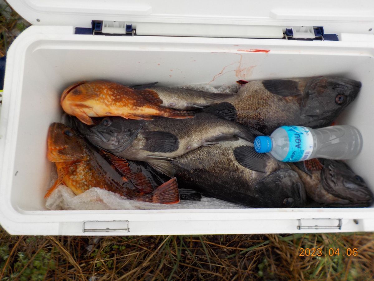 都南村漁協さんの釣果 2枚目の画像