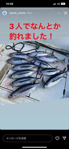 ビンチョウマグロの釣果