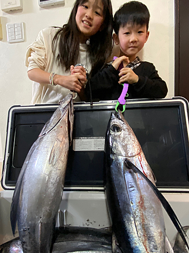 ビンチョウマグロの釣果