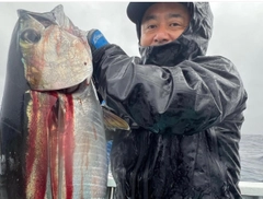 キハダマグロの釣果