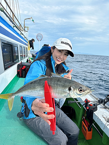 ヒラアジの釣果