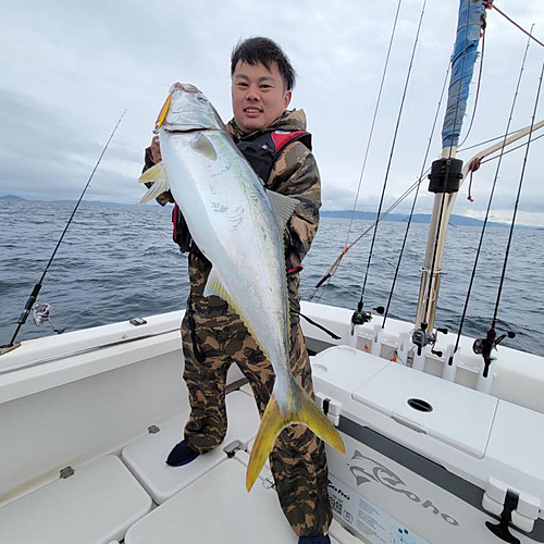 ブリの釣果