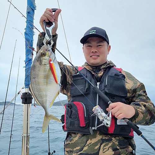 カイワリの釣果