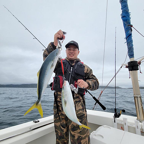 ハマチの釣果