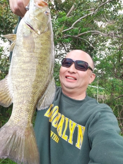 スモールマウスバスの釣果