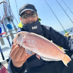 シロアマダイの釣果