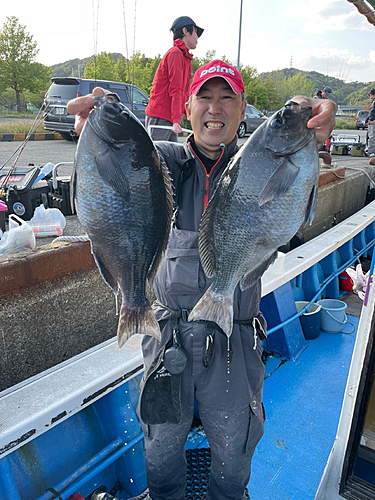 グレの釣果