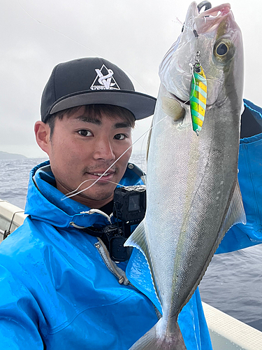 カンパチの釣果