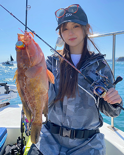 アコウの釣果