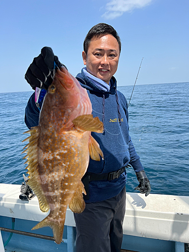 キジハタの釣果