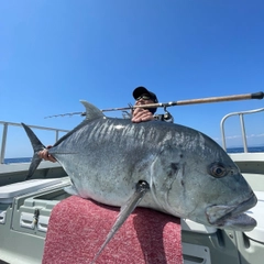 ロウニンアジの釣果