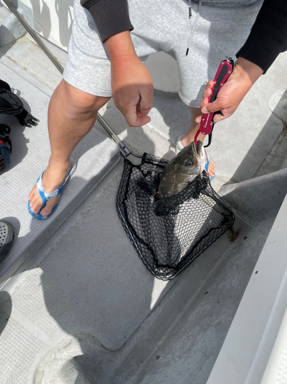 アングラー九州さんの釣果 2枚目の画像