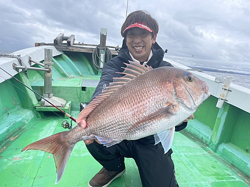 マダイの釣果