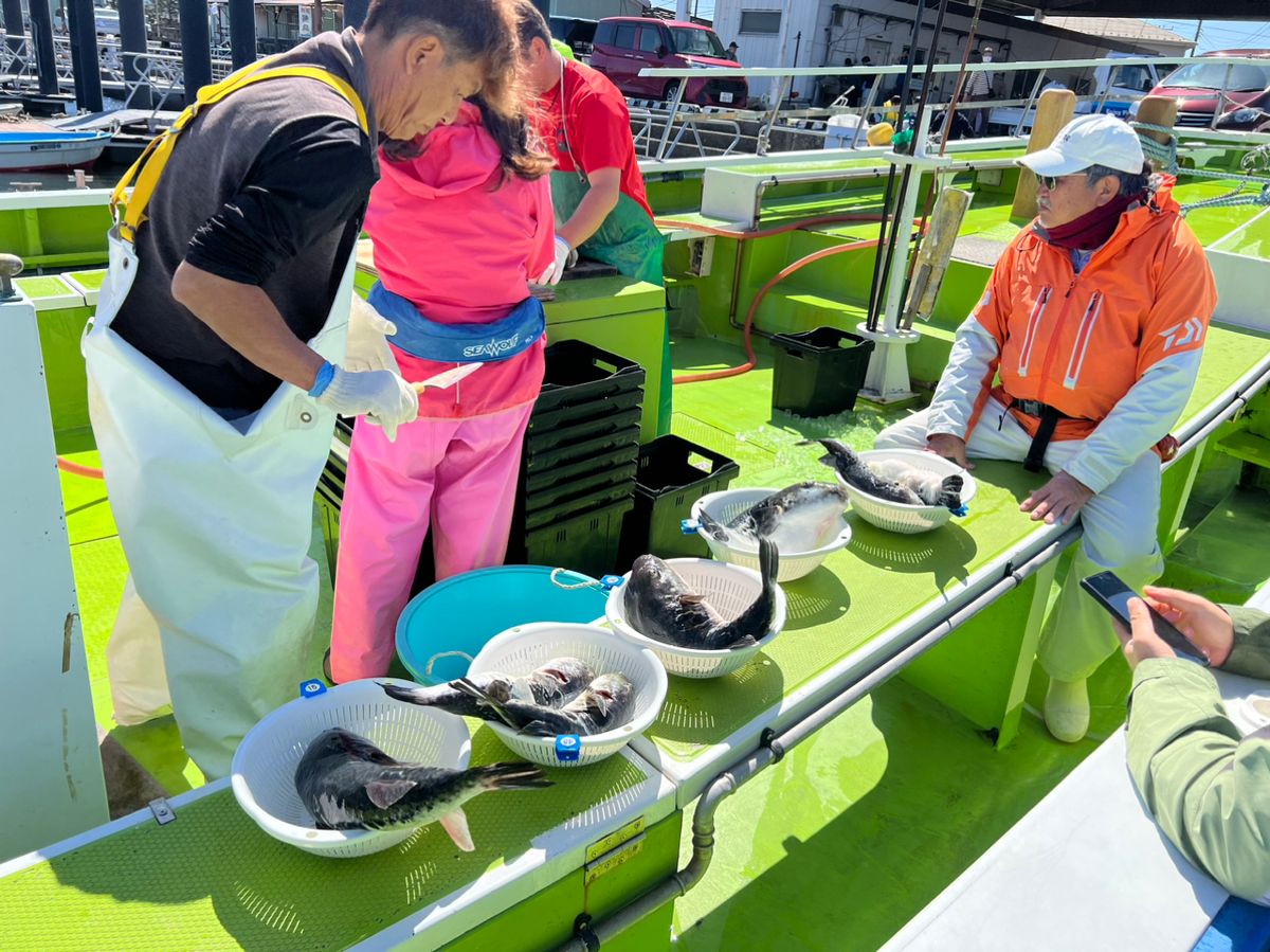 ごんたですさんの釣果 2枚目の画像