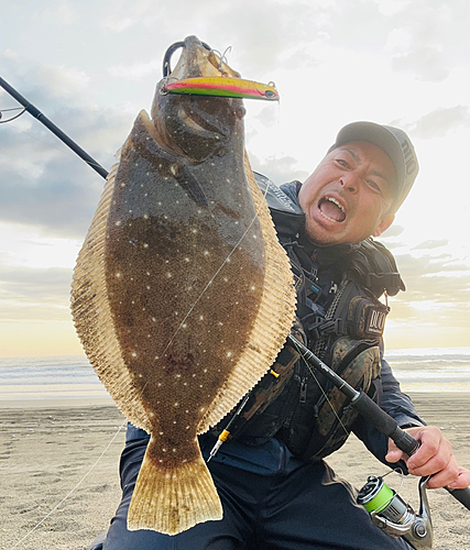 ヒラメの釣果