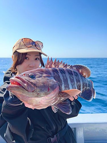 マハタの釣果