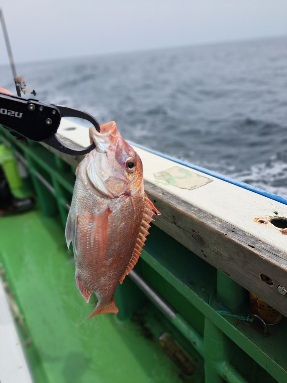 千春RossoNeroさんの釣果 3枚目の画像