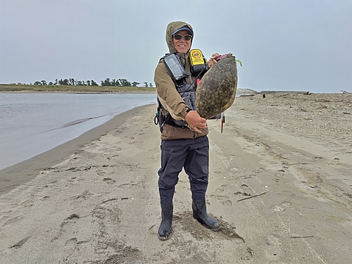 ヒラメの釣果