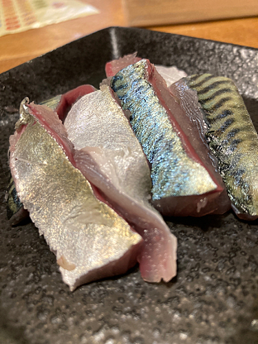 サバの釣果