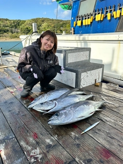 ビンチョウマグロの釣果