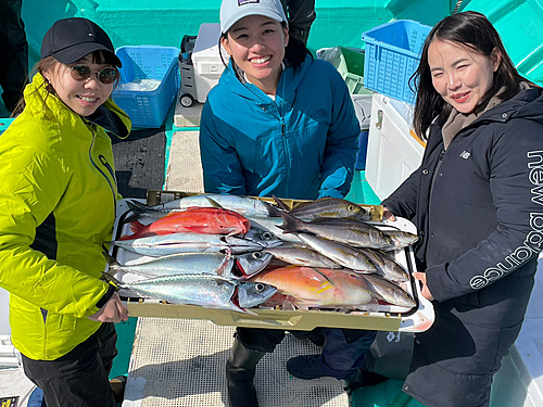 イサキの釣果