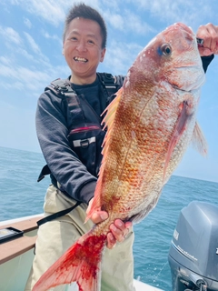 マダイの釣果