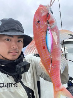 タカサゴヒメジの釣果