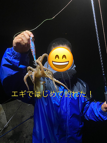 コウイカの釣果