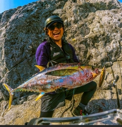 キハダマグロの釣果