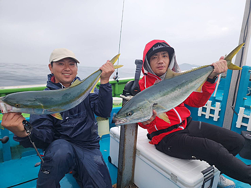 ブリの釣果