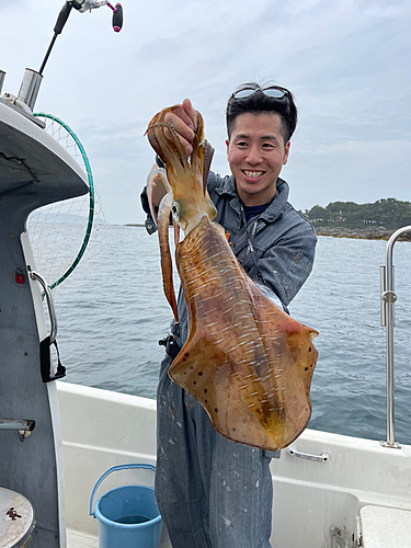 ミズイカの釣果