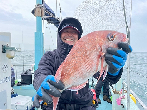 マダイの釣果