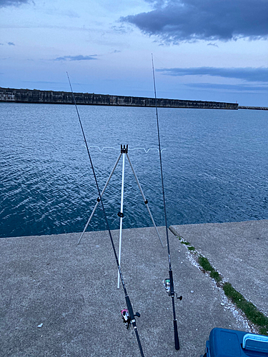 アナゴの釣果