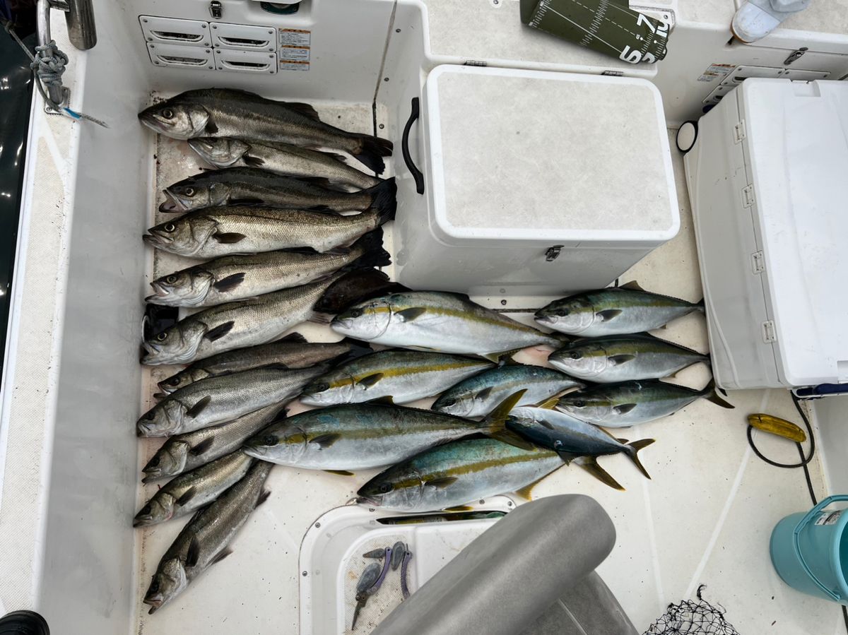 実釣隊🎣さんの釣果 3枚目の画像