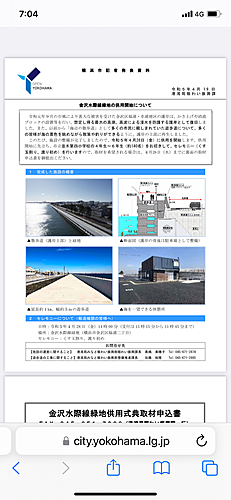 カタクチイワシの釣果