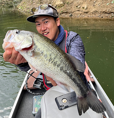 ブラックバスの釣果