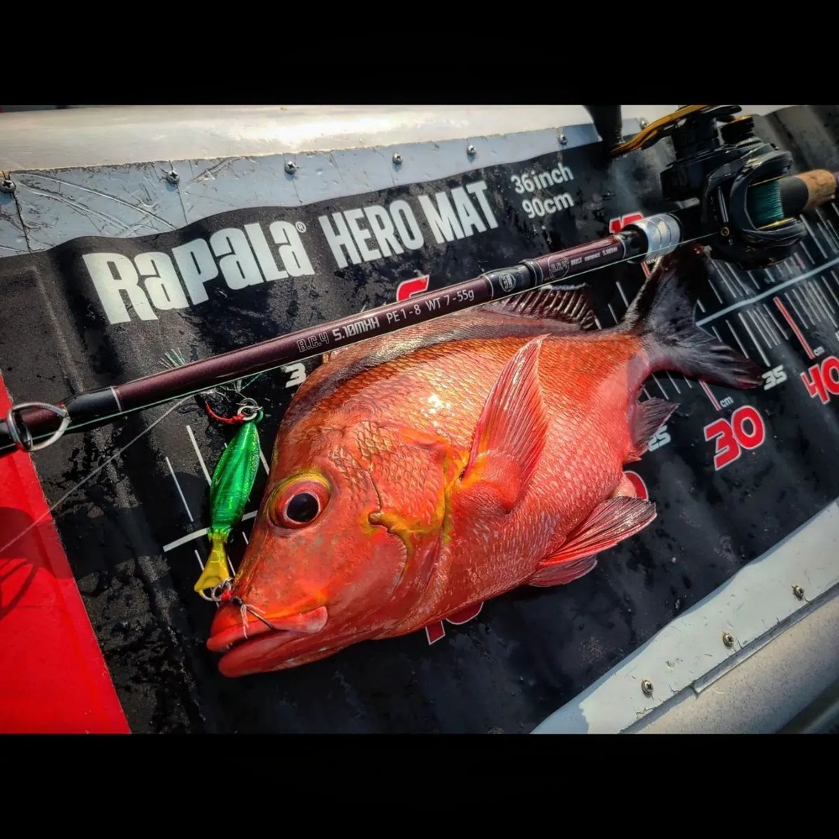 KOHA【オーエムFISHING】さんの釣果 2枚目の画像