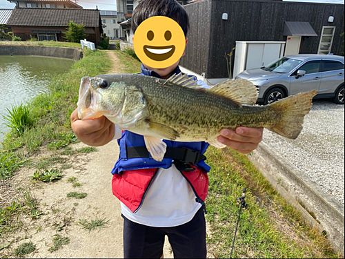 ブラックバスの釣果