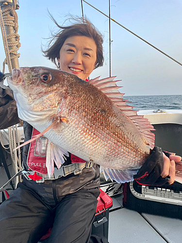 マダイの釣果