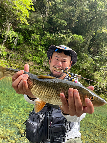 トラウトの釣果