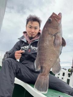 マハタの釣果