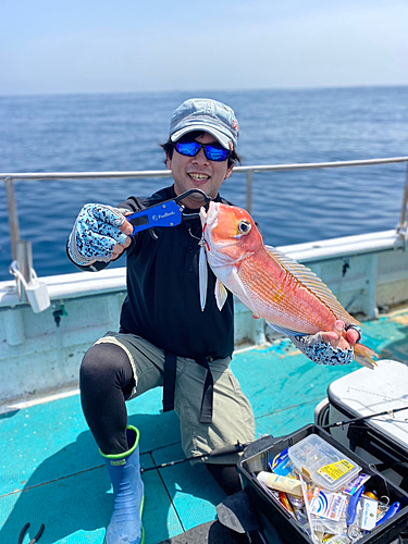 アマダイの釣果