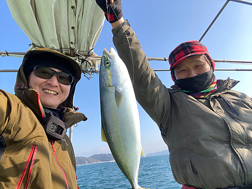 ハマチの釣果