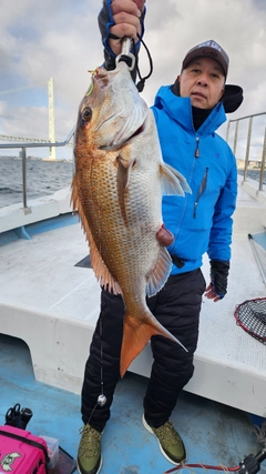 タイの釣果