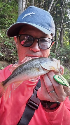 ラージマウスバスの釣果