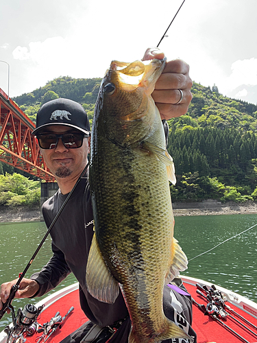 ブラックバスの釣果