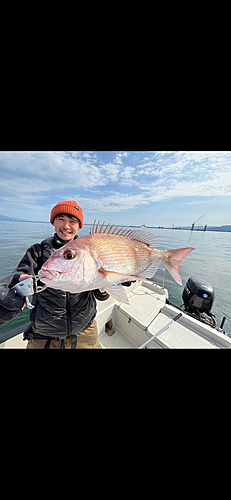 マダイの釣果