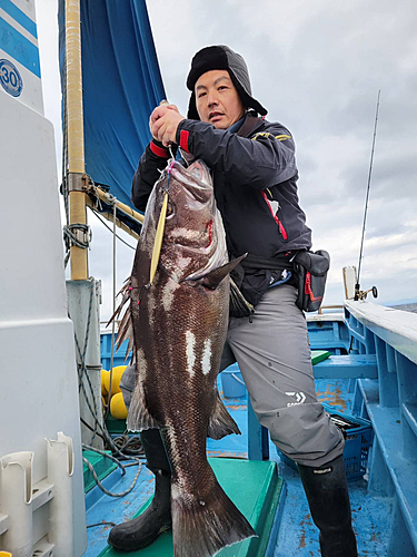 イシナギの釣果